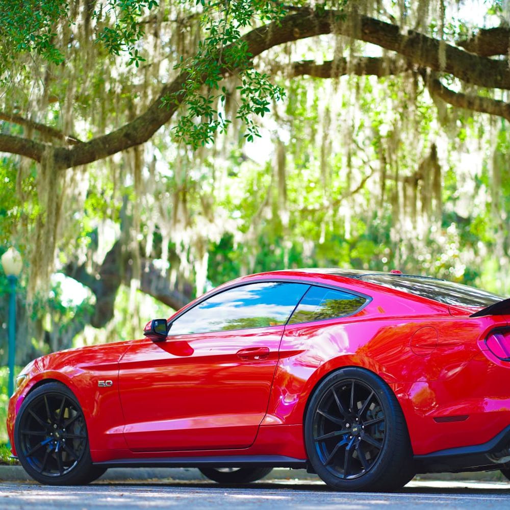 Profile of Jonathan Arauz