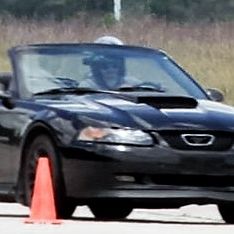 Profile of Bruce Nelson