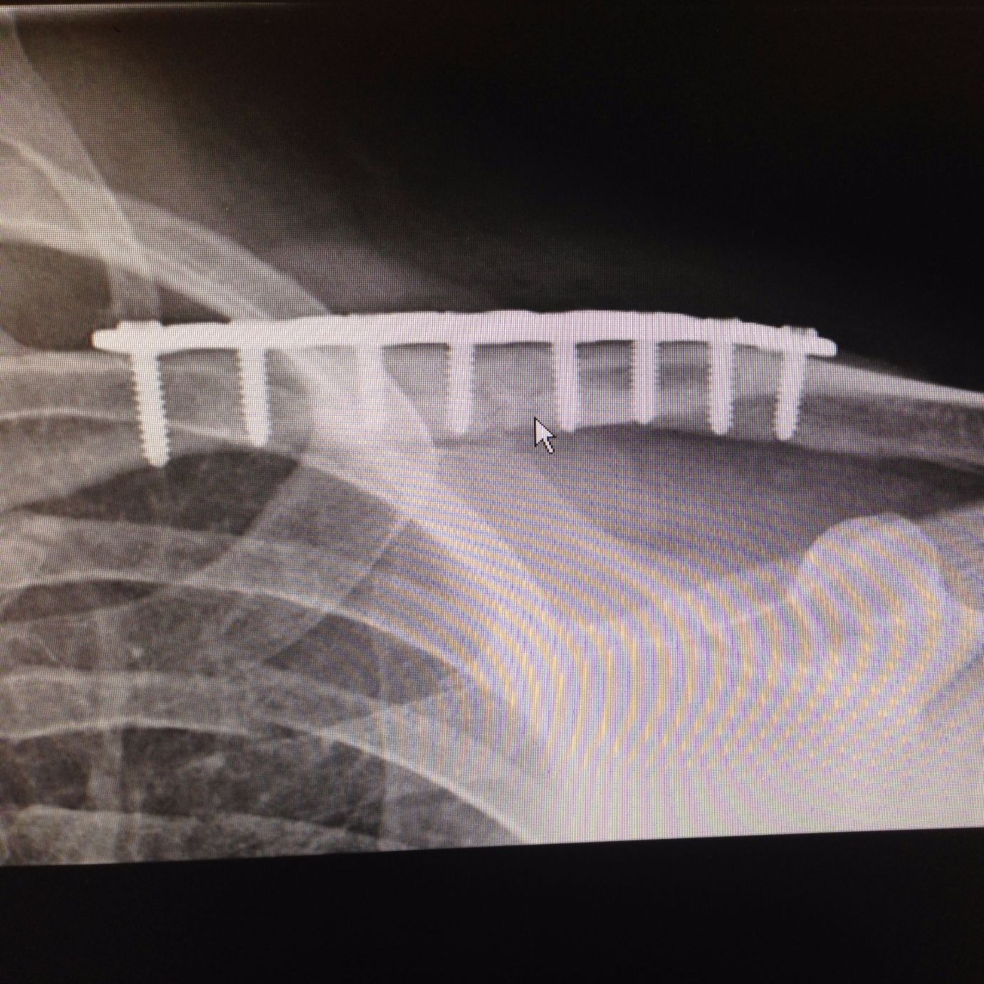 Profile of Nick Kaplan