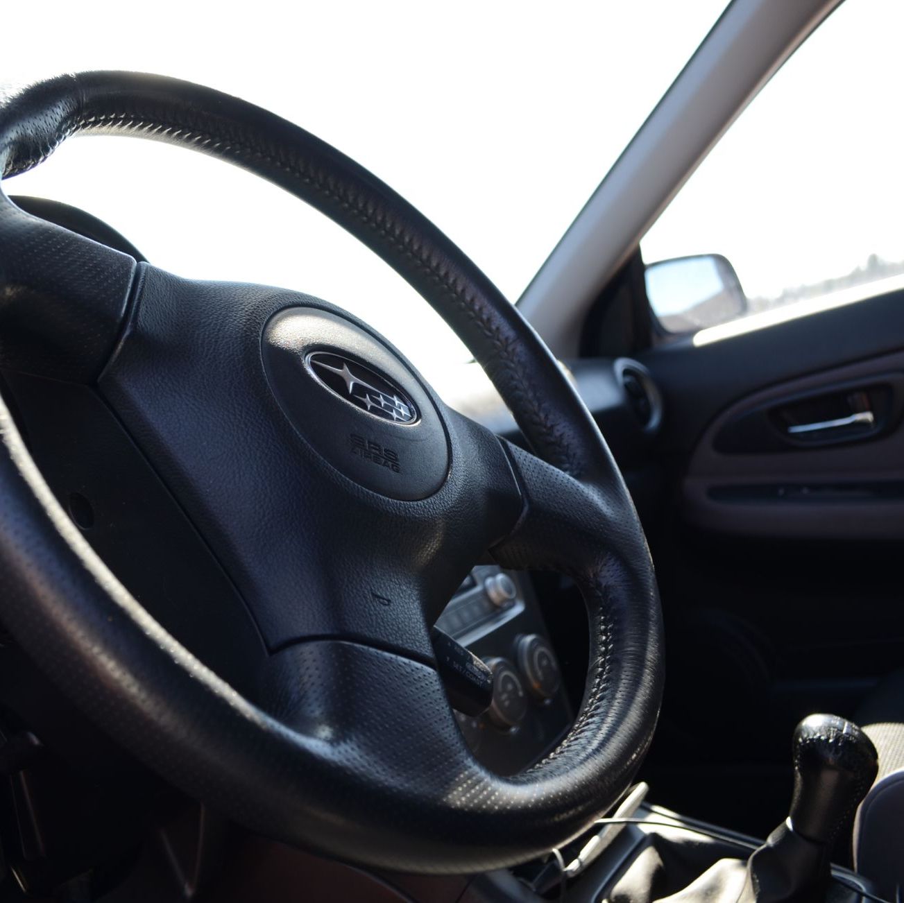 Profile of Dante DeSimone