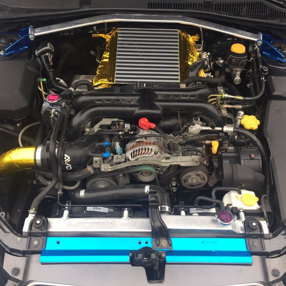 Profile of Robert Reynolds