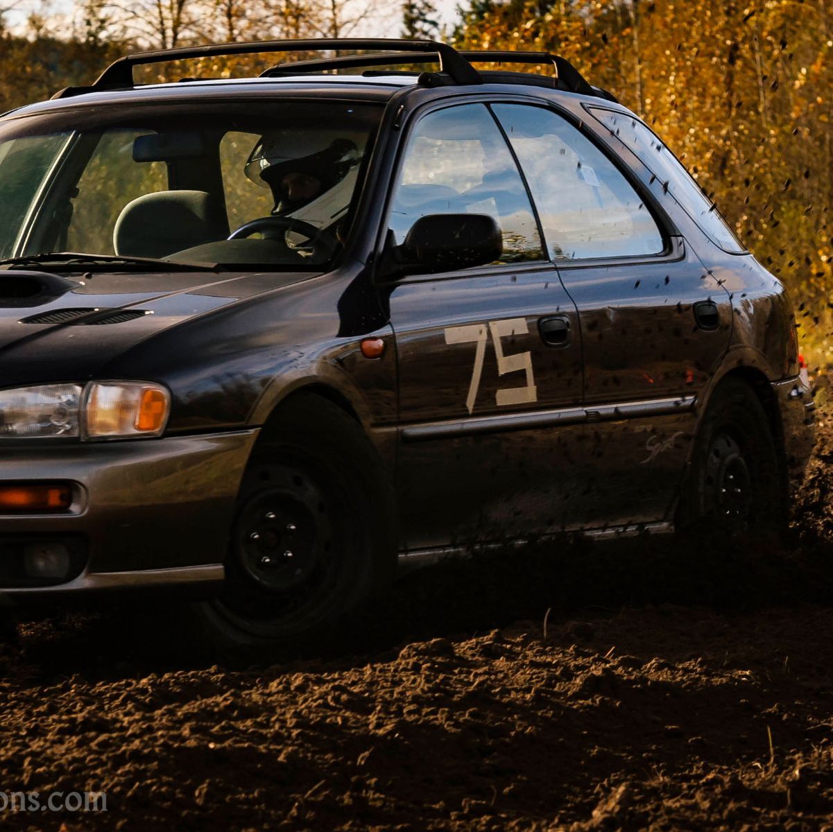 Profile of Alex DeYoung