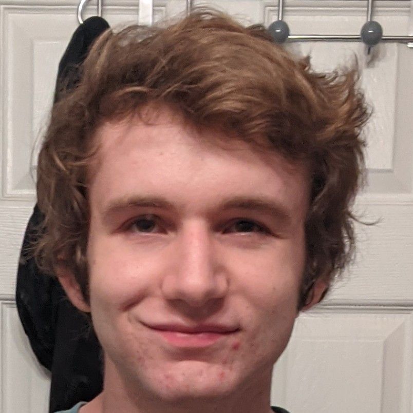 Profile of Dominik Wall