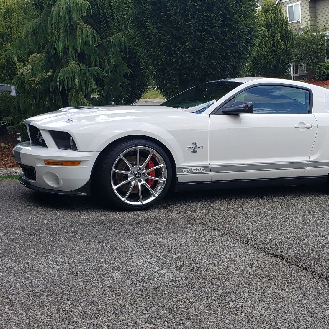 Profile of Kim Ditzler