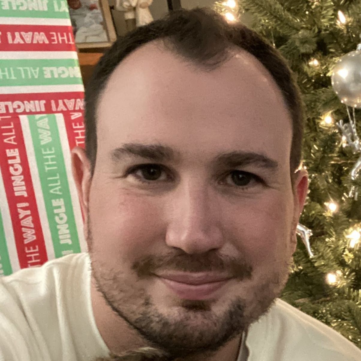 Profile of Mike Sprangers