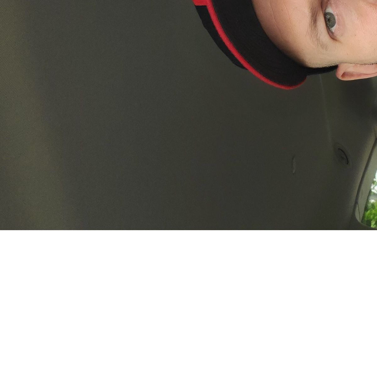 Profile of Ofer Mendel