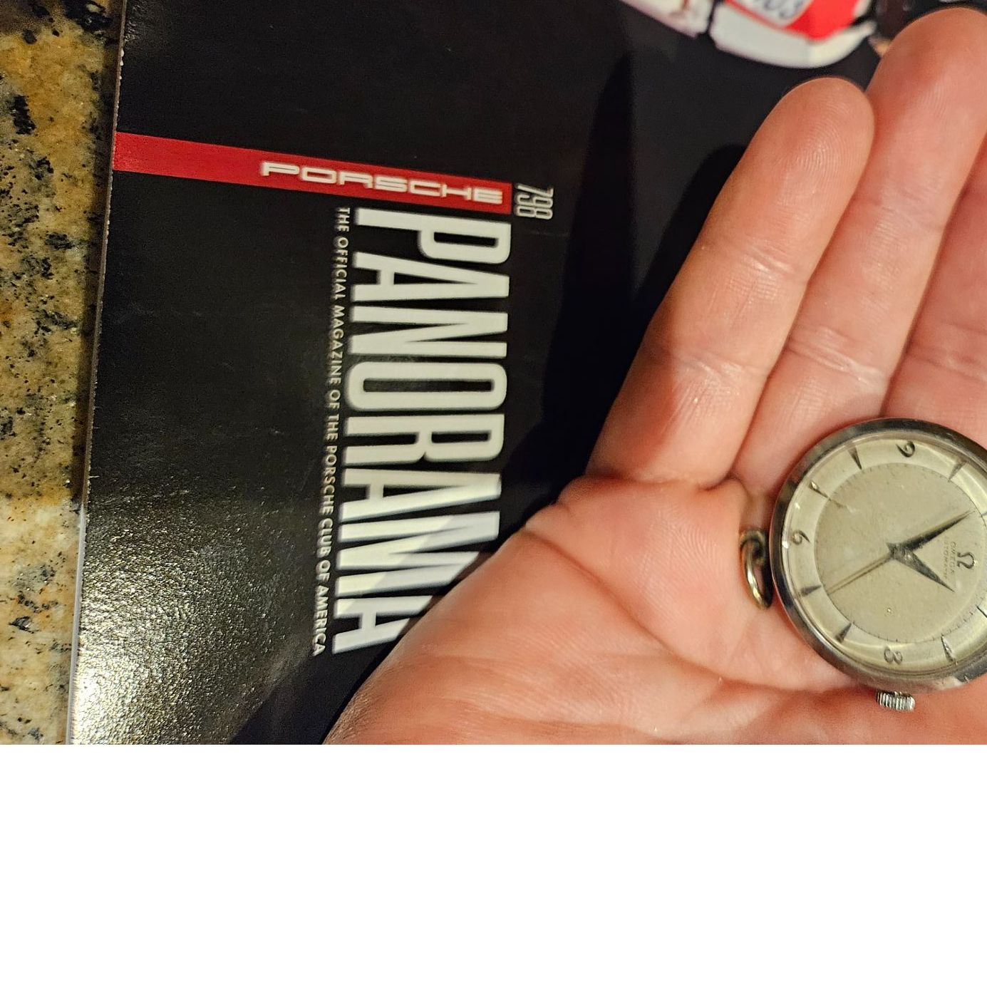 Profile of Steven Brown