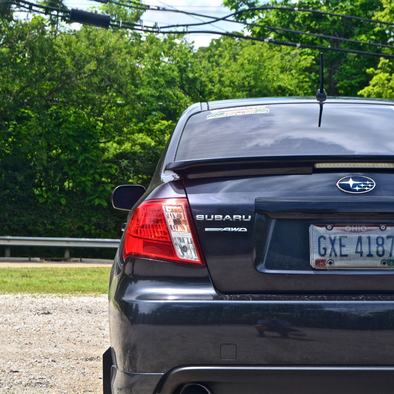 Profile of Max Lipson