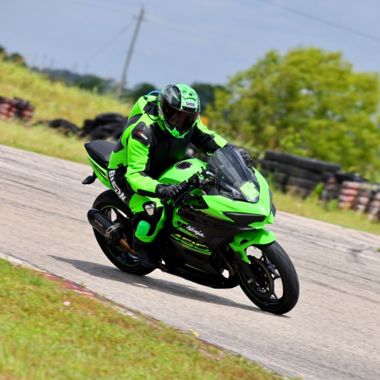 Profile of Treina Tai McAlister