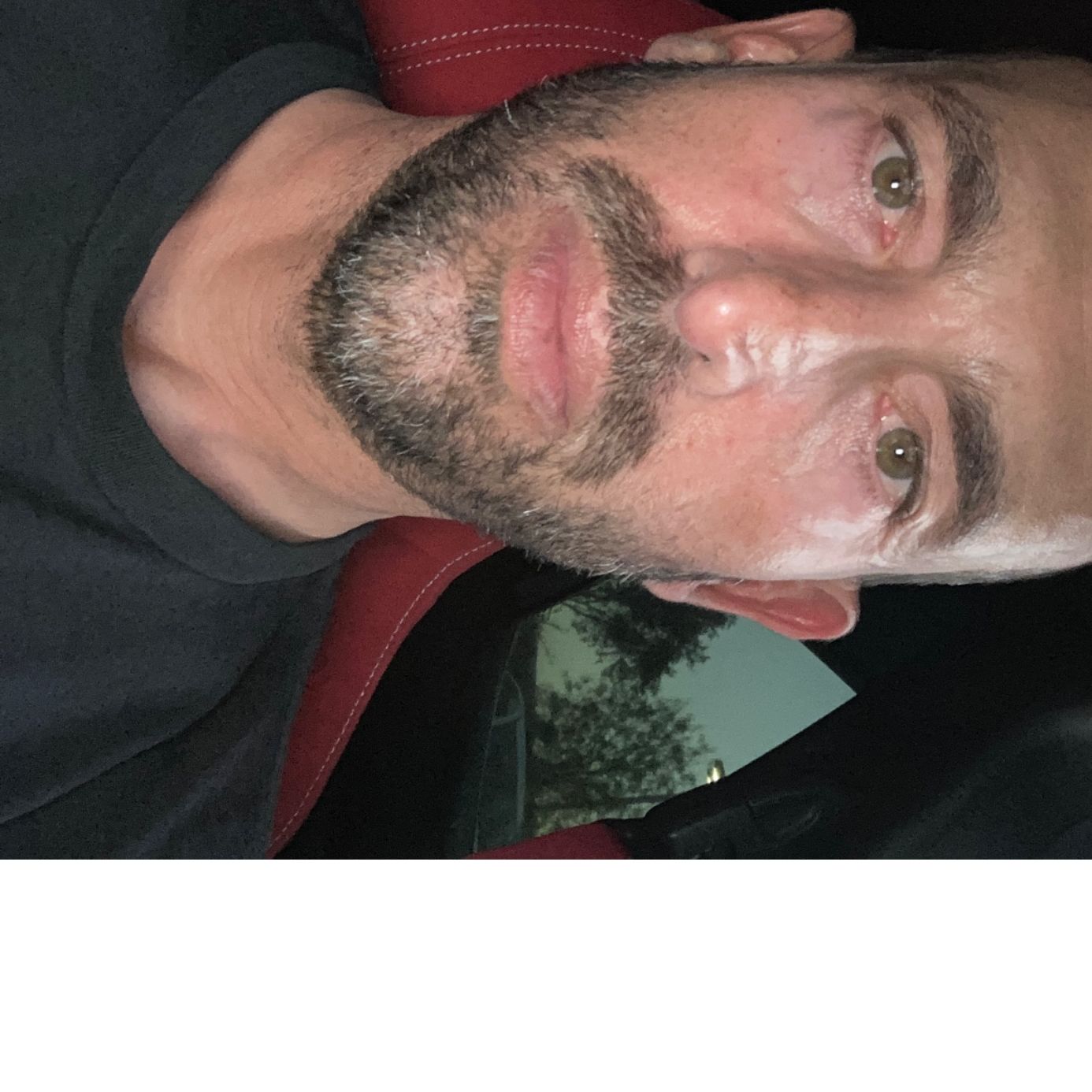Profile of Nicholas Ross