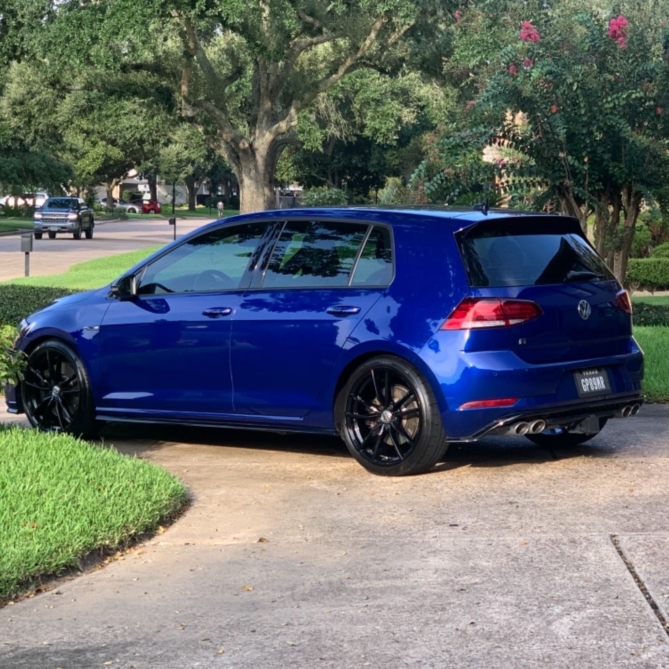 Profile of Michael Abdelsayed 