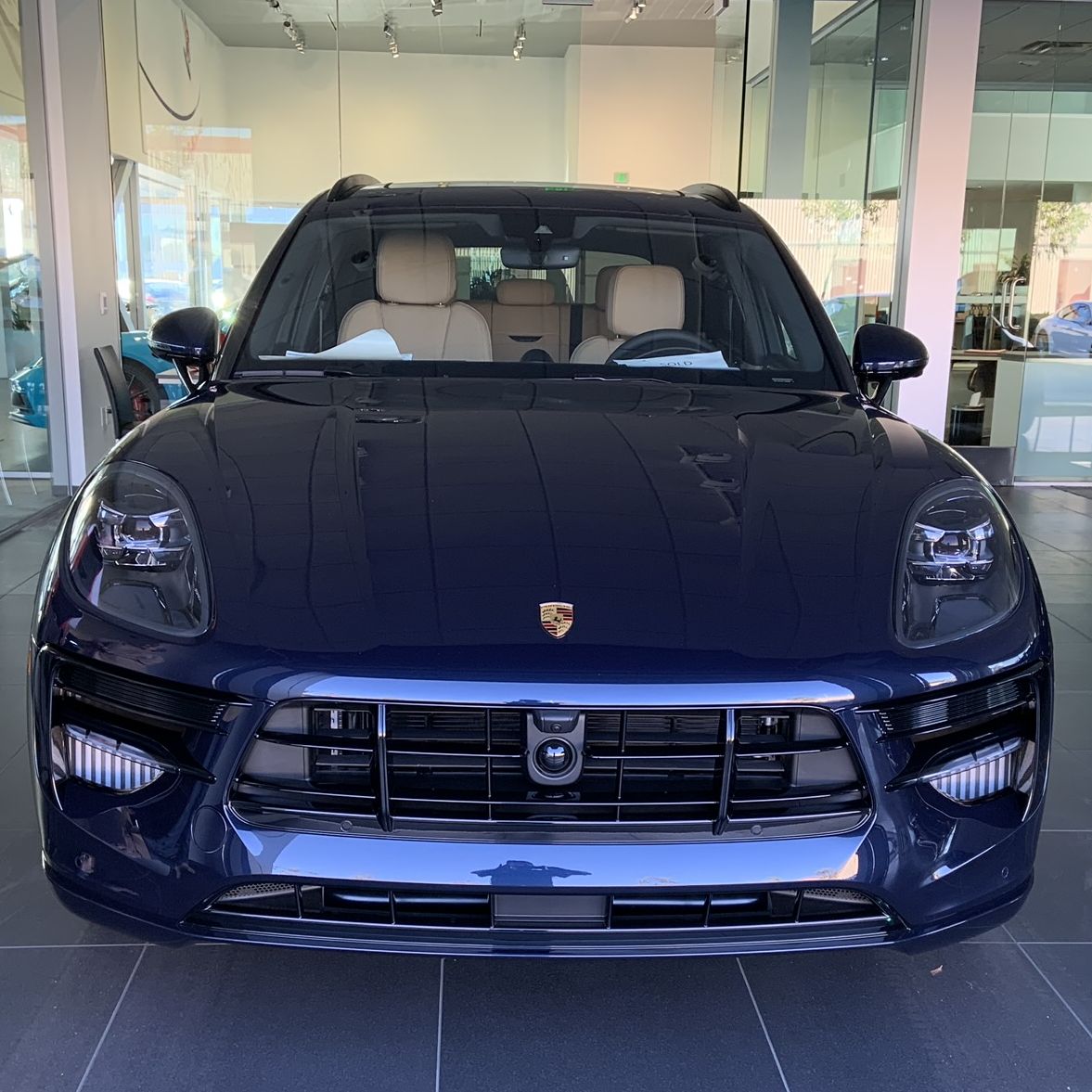 Profile of Paul Beech