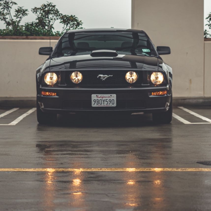 Profile of Cole Tobin