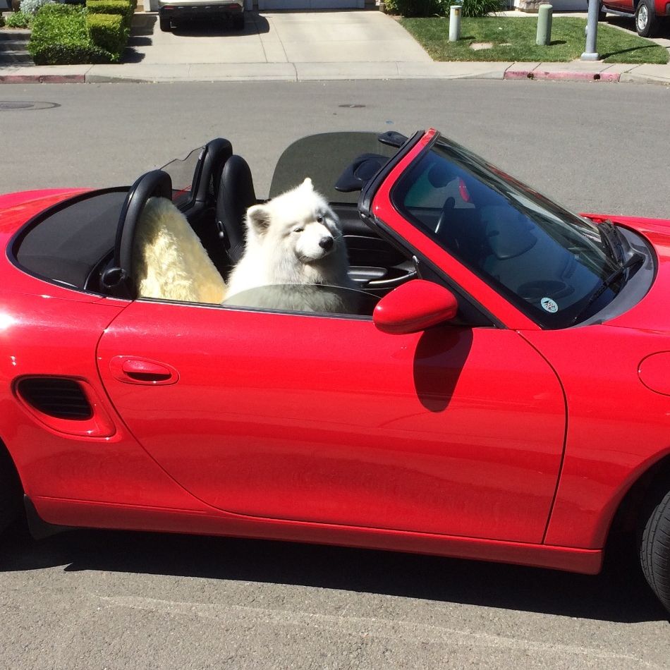 Profile of R. Scott Fisher