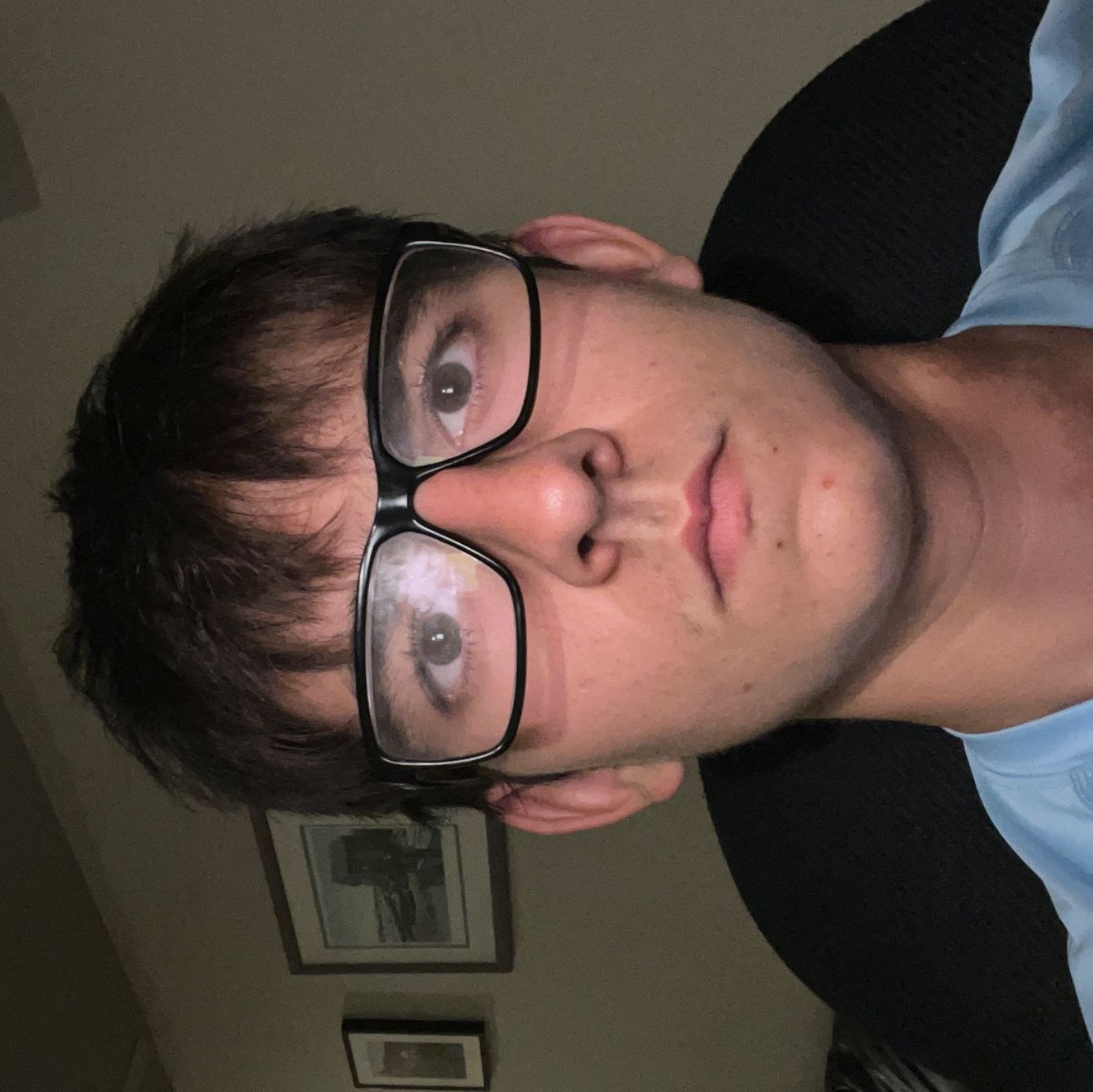 Profile of Robert D’Avena