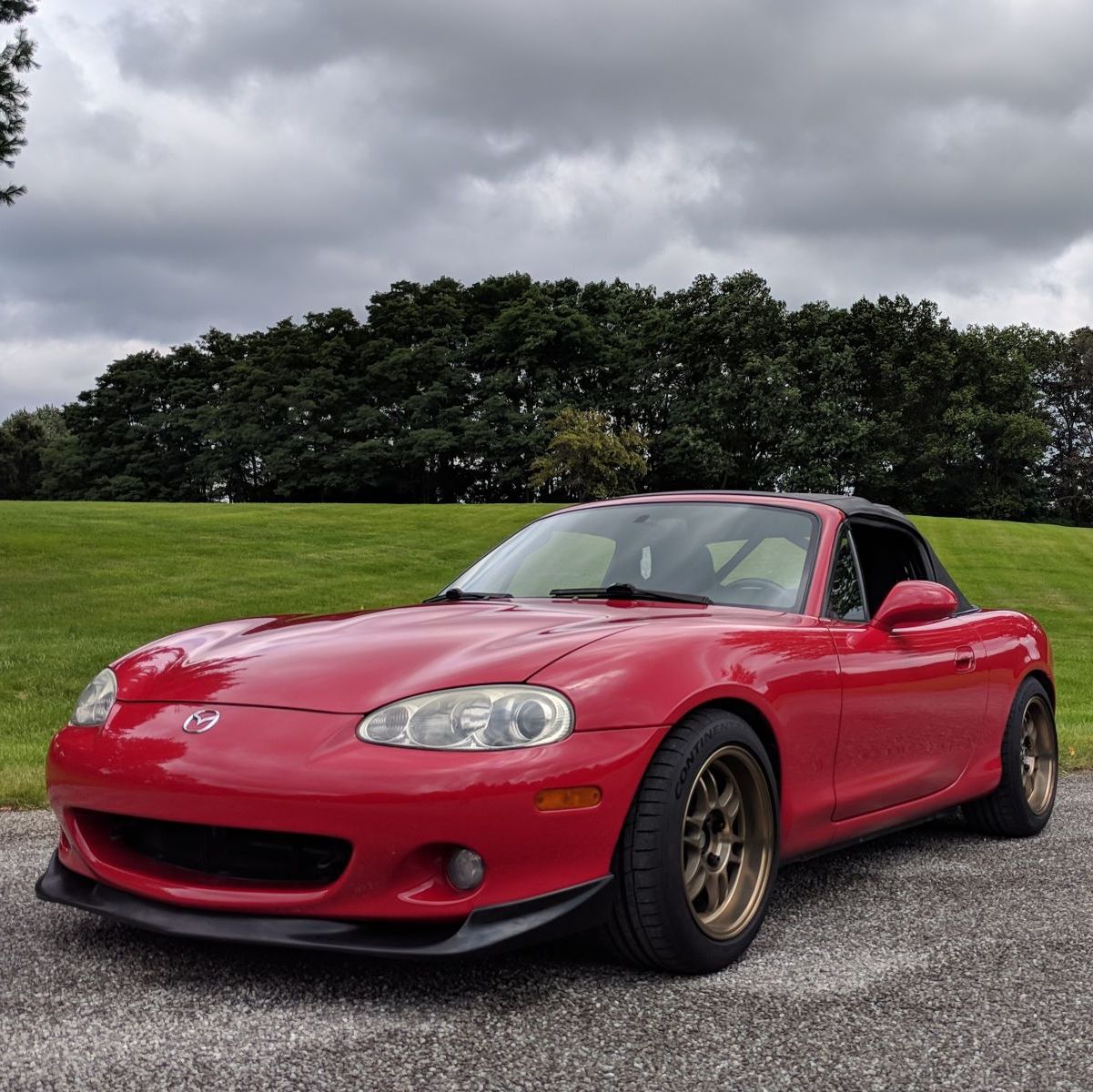 Profile of Patrick Rori