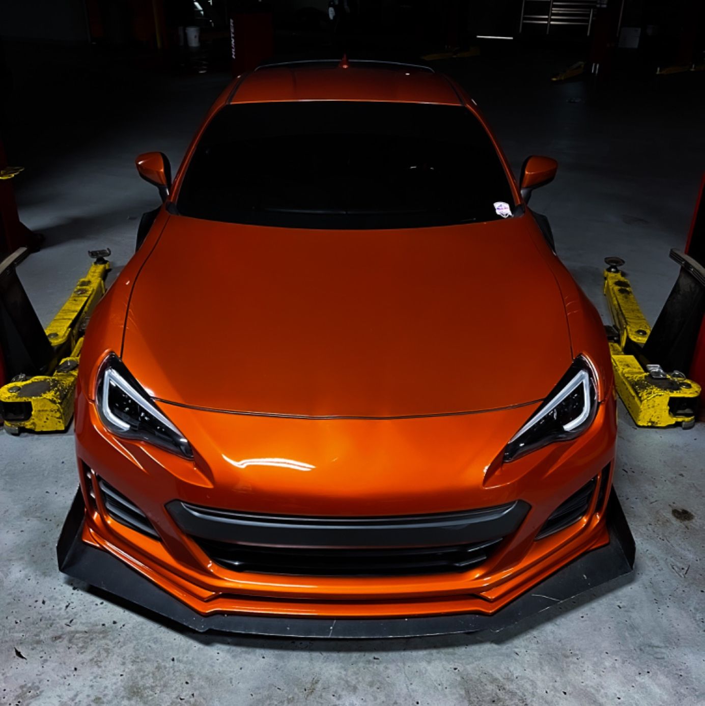 Profile of Nick Soldo