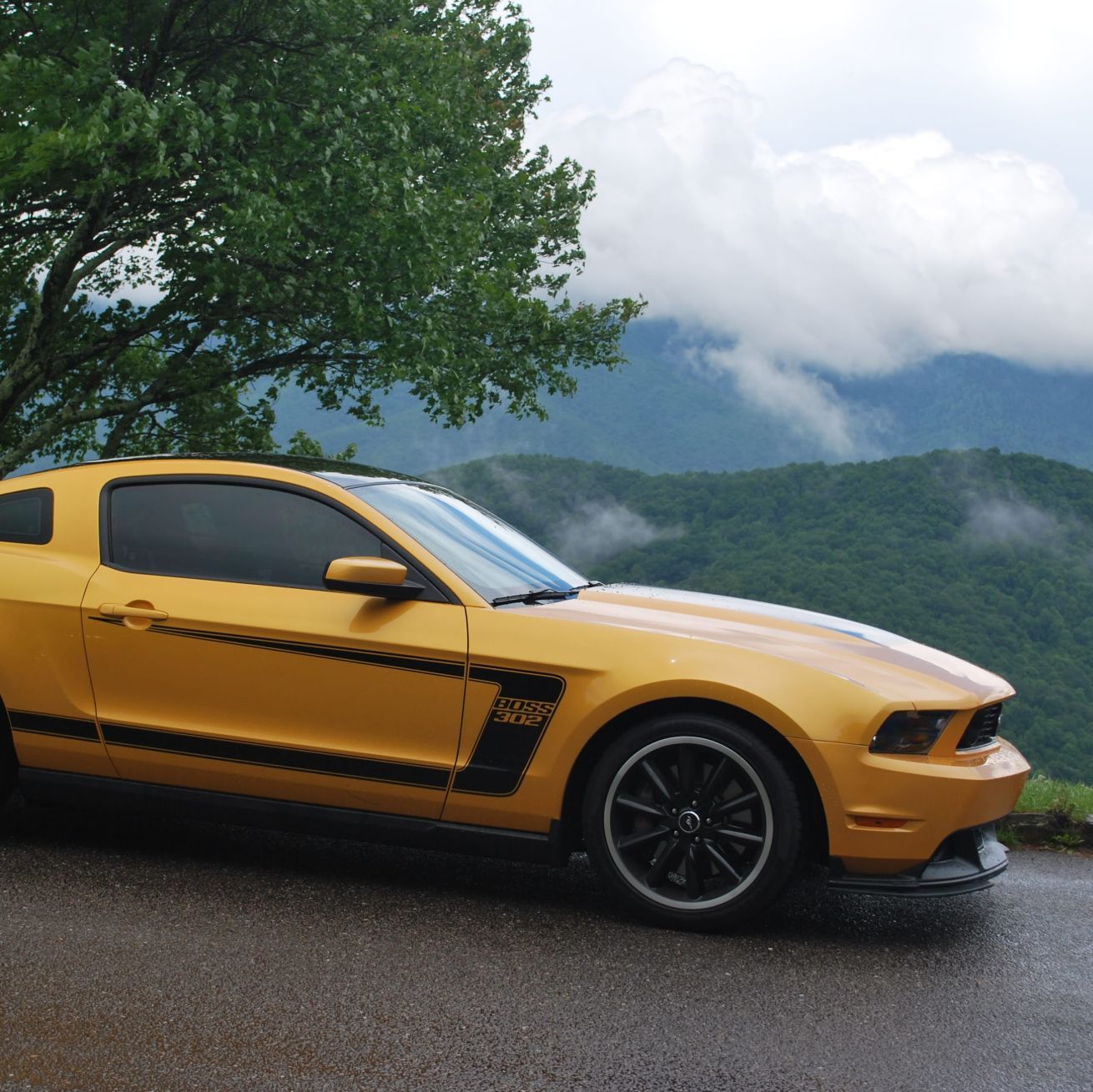 Profile of Jimmy Grady