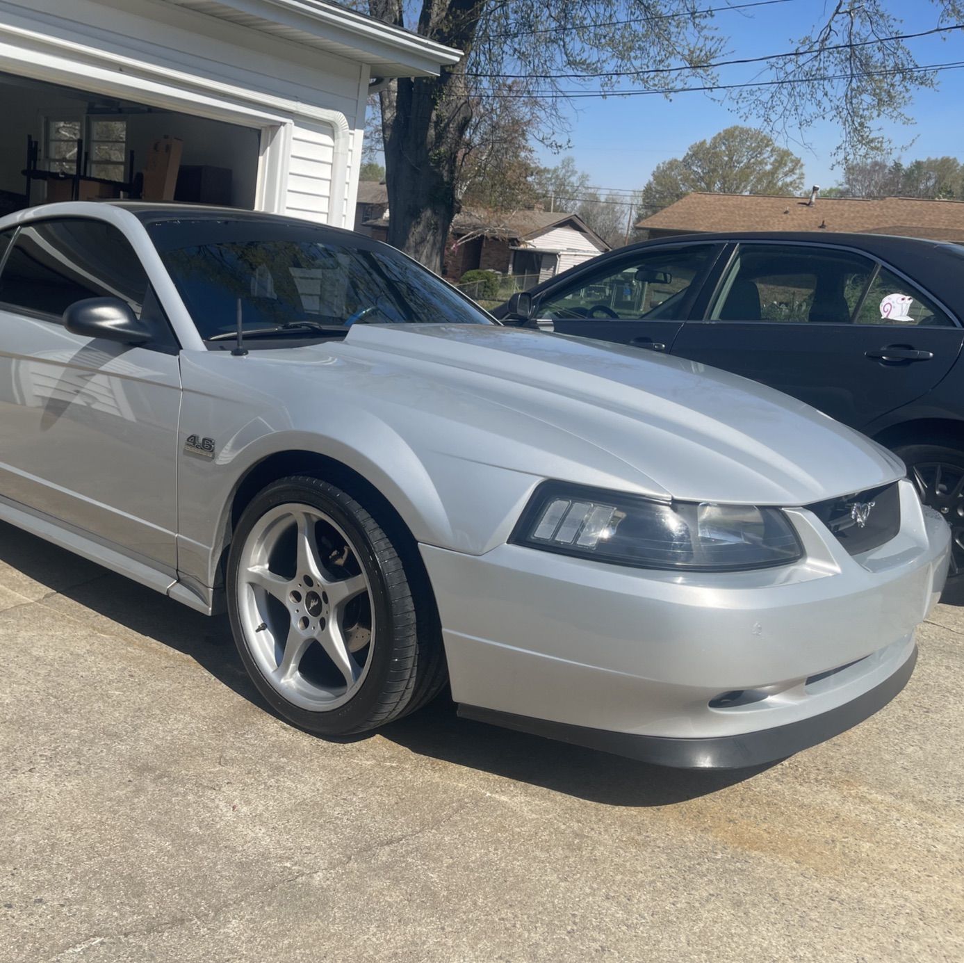 Profile of Jake Knox