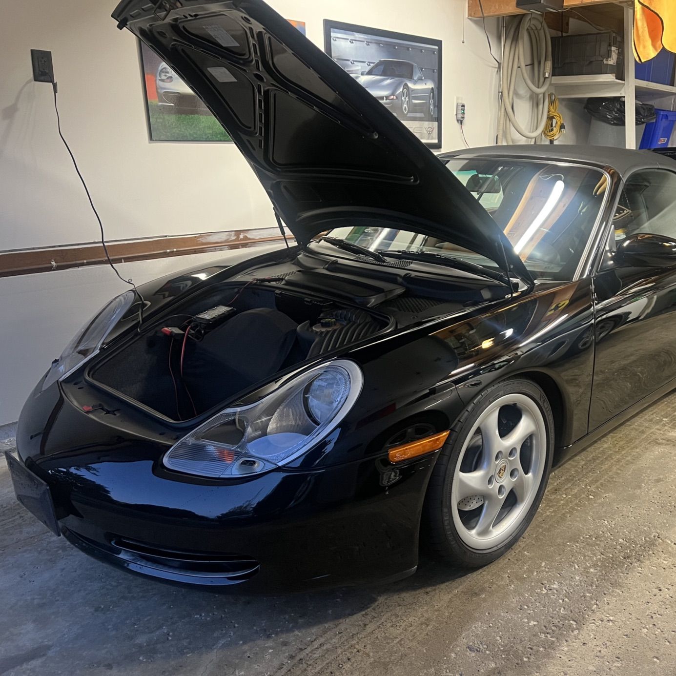 Profile of Angelo Ponzo