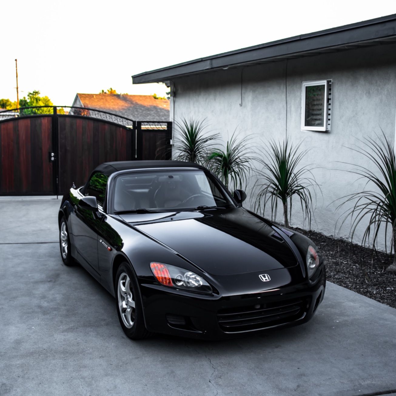 Profile of Sage Salas