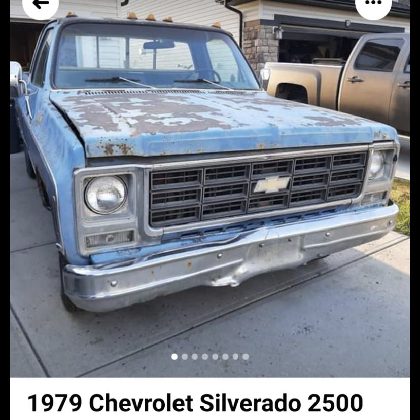 Profile of Anna Larose