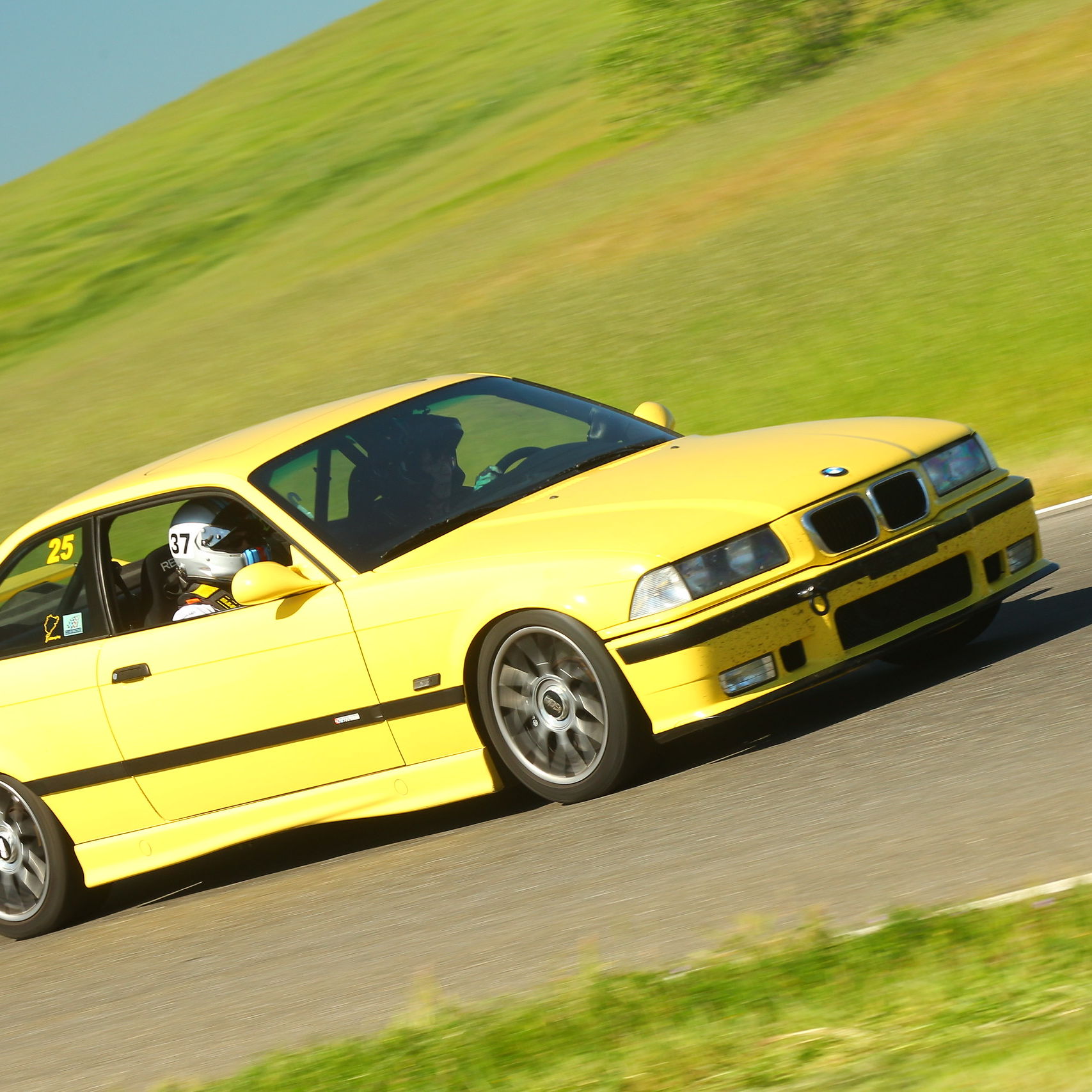 Profile of Lisa Whalen