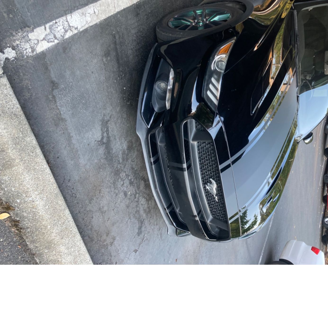 Profile of Philipp White