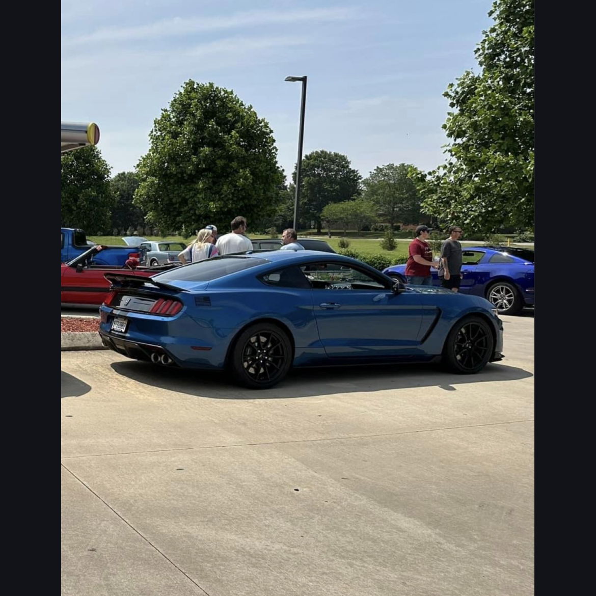 Profile of Terry Whitehead