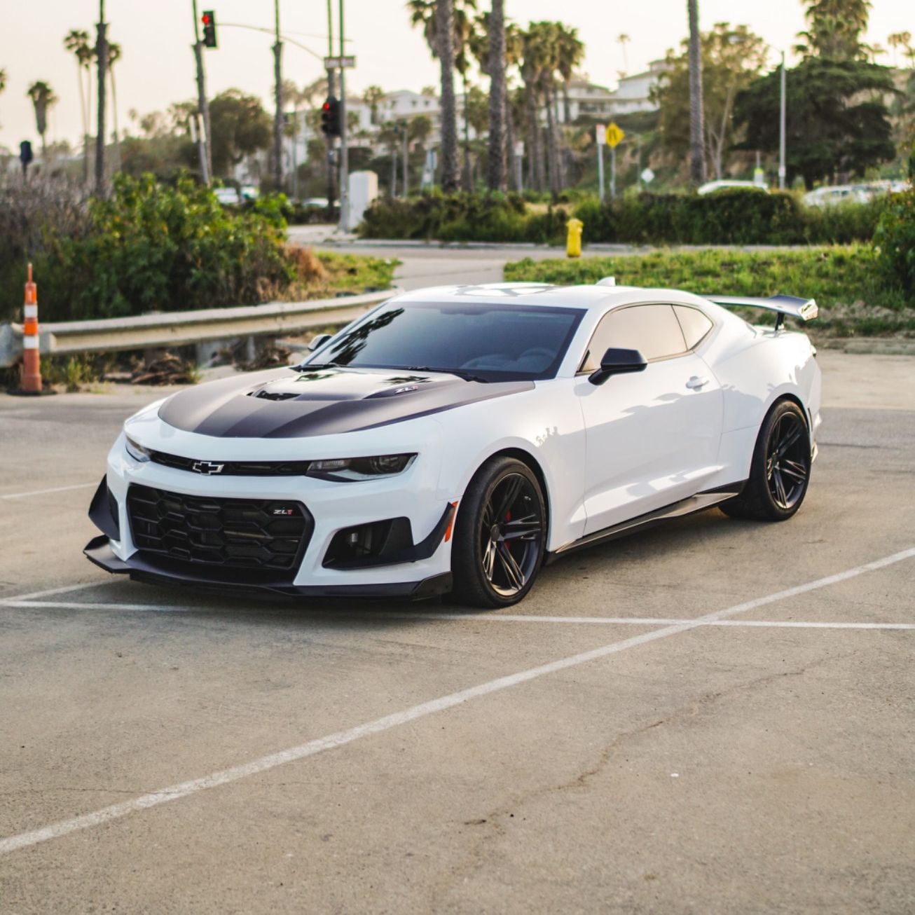 Profile of Anthony Meza