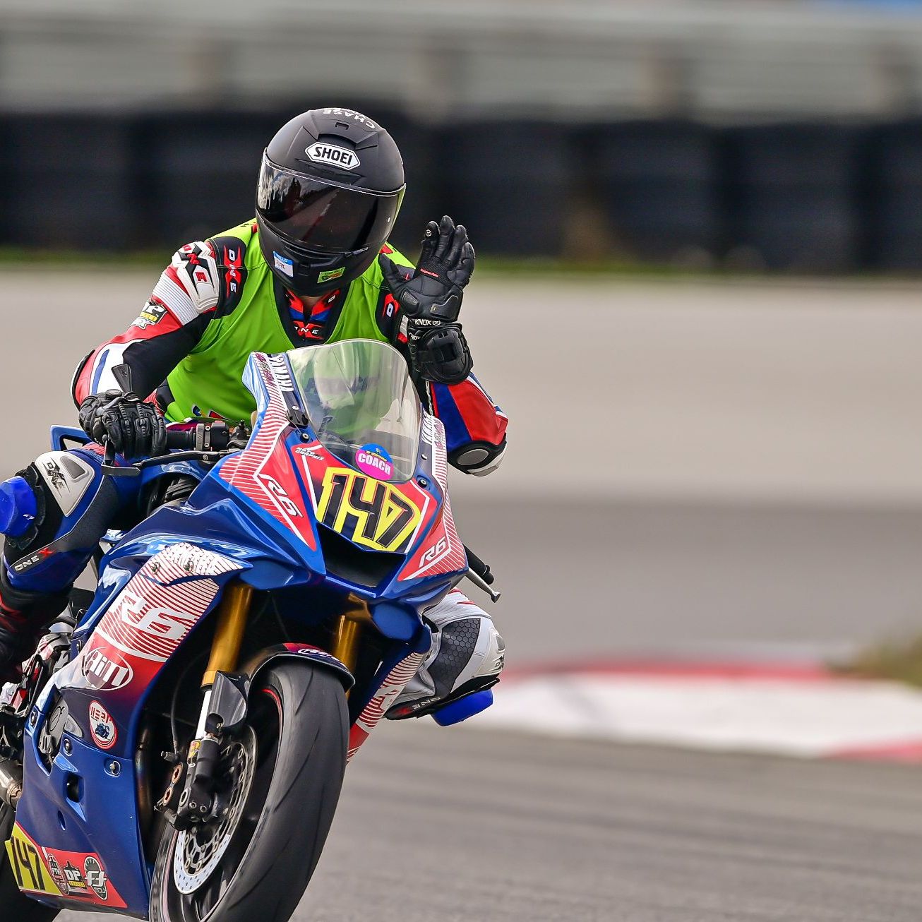 Profile of Chloe Lerin