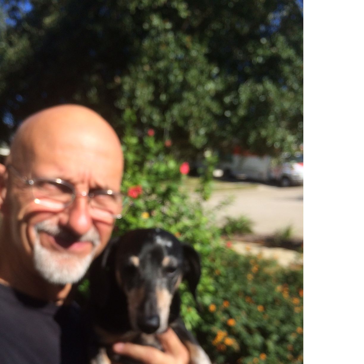 Profile of David Randall