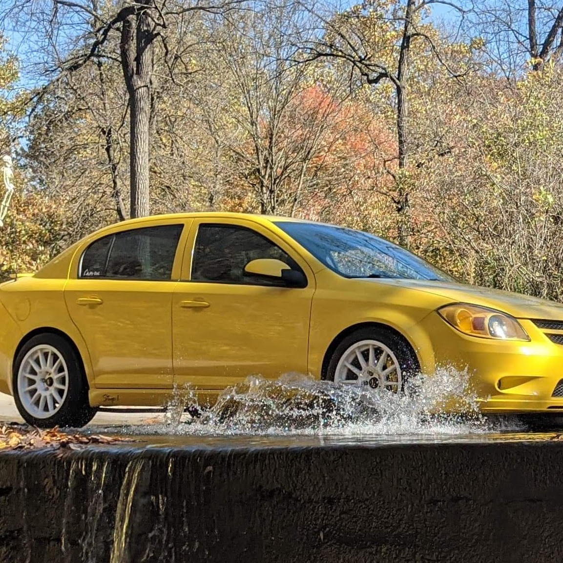 Profile of William Fanchier