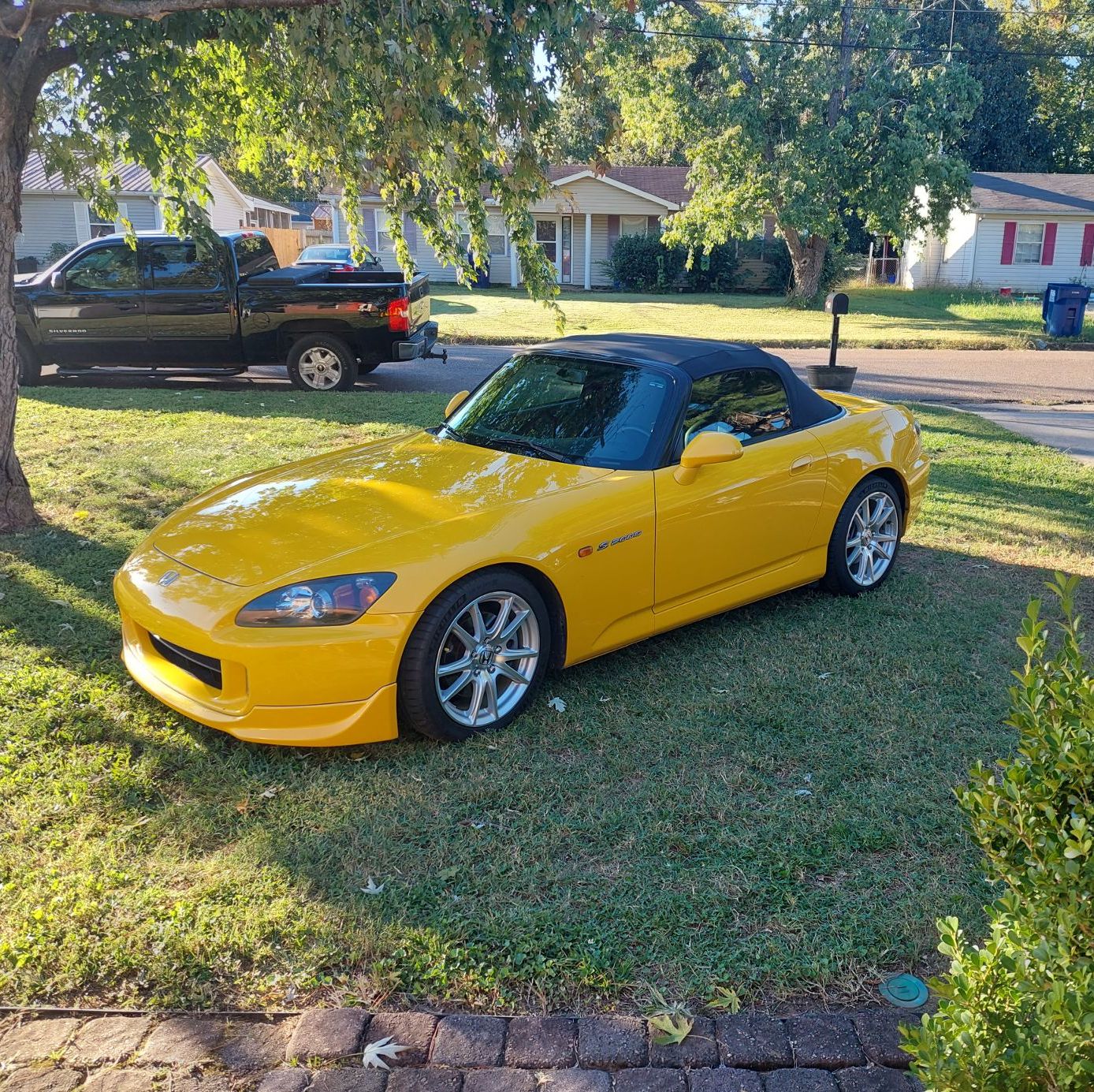 Profile of Anthony Sullivan-shockley