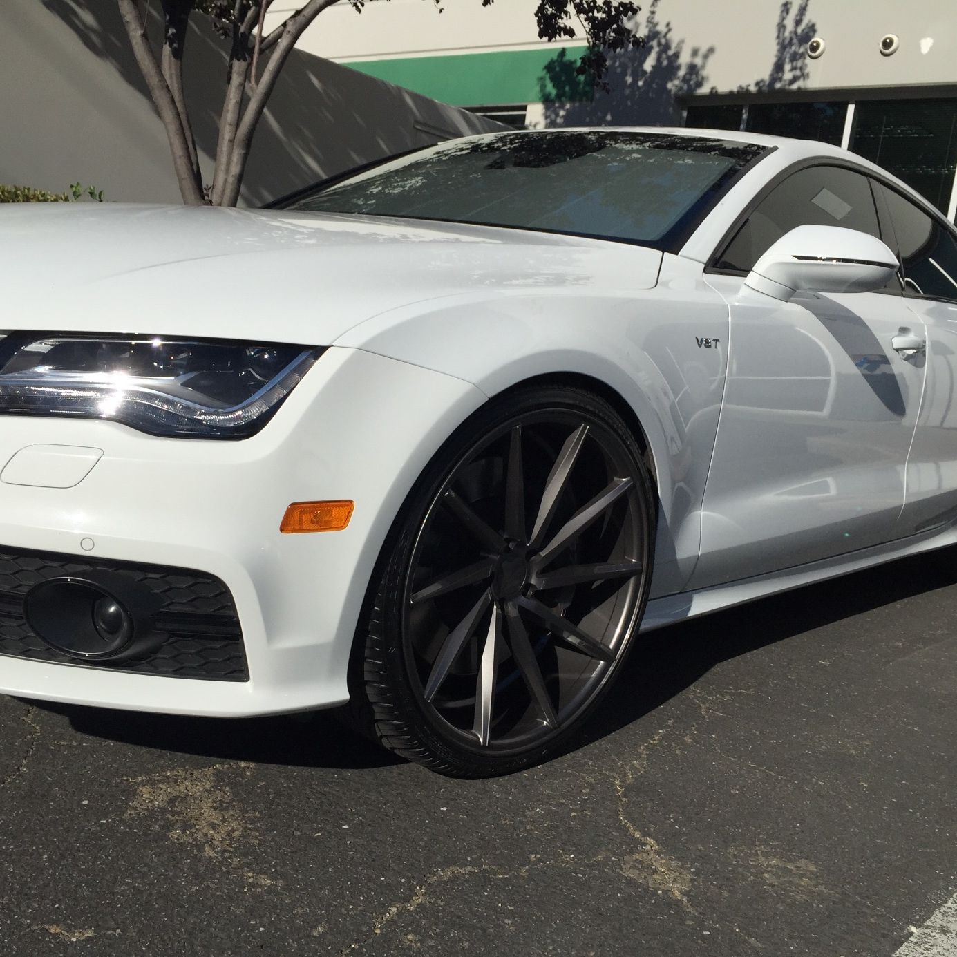 Profile of Rory Finkelstein