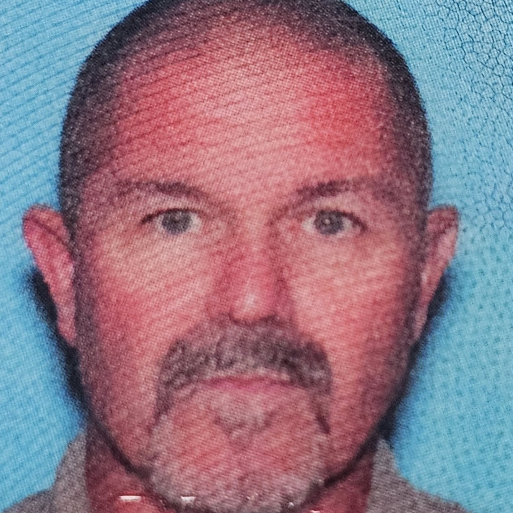 Profile of David Thompson