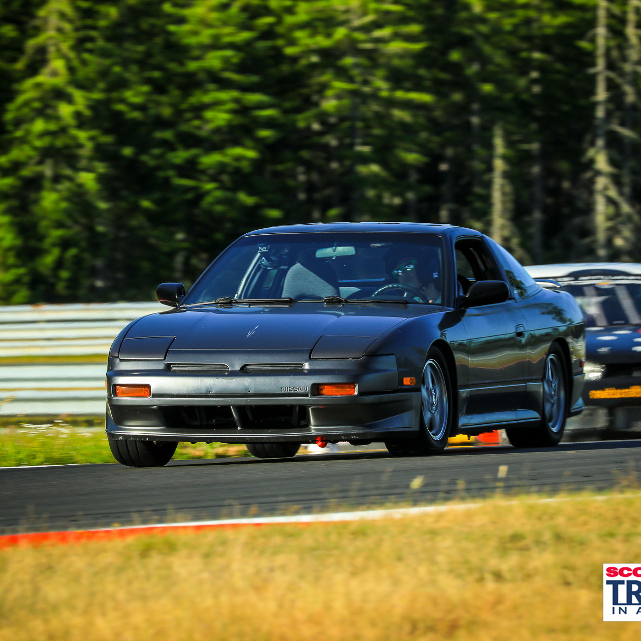 Profile of Trevor Manley