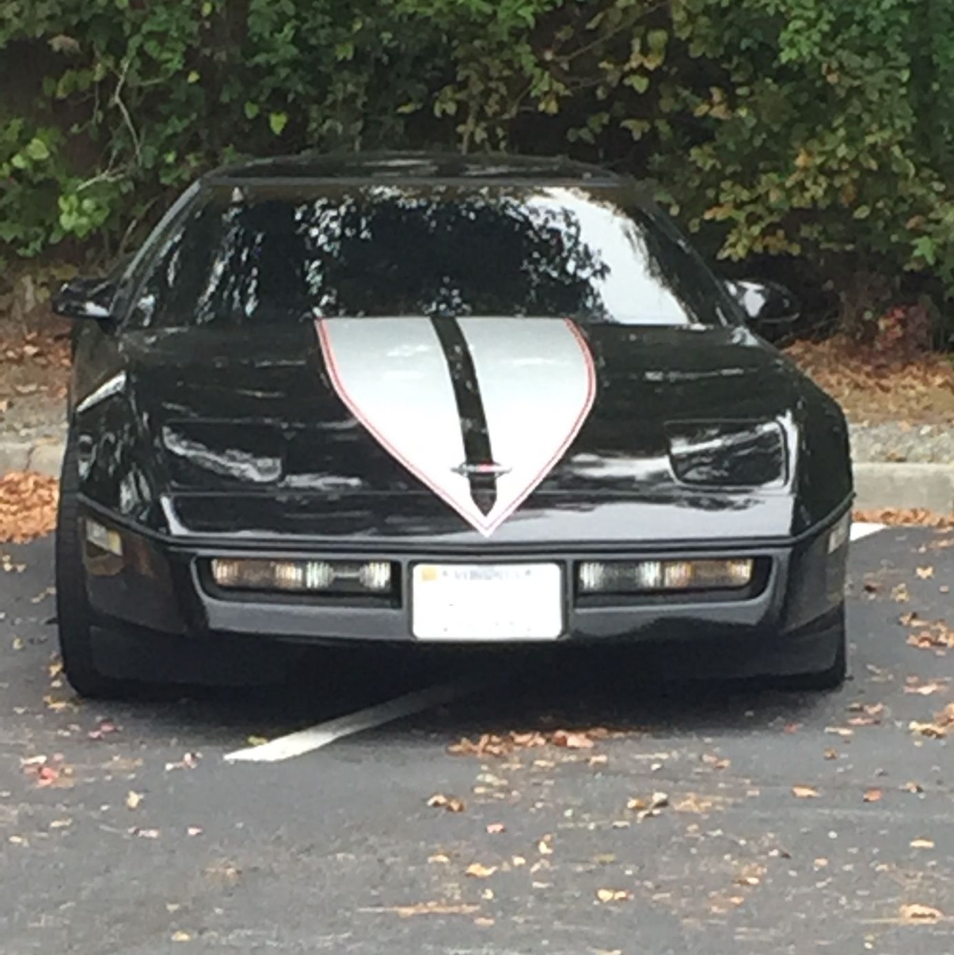 Profile of Paul Bergman