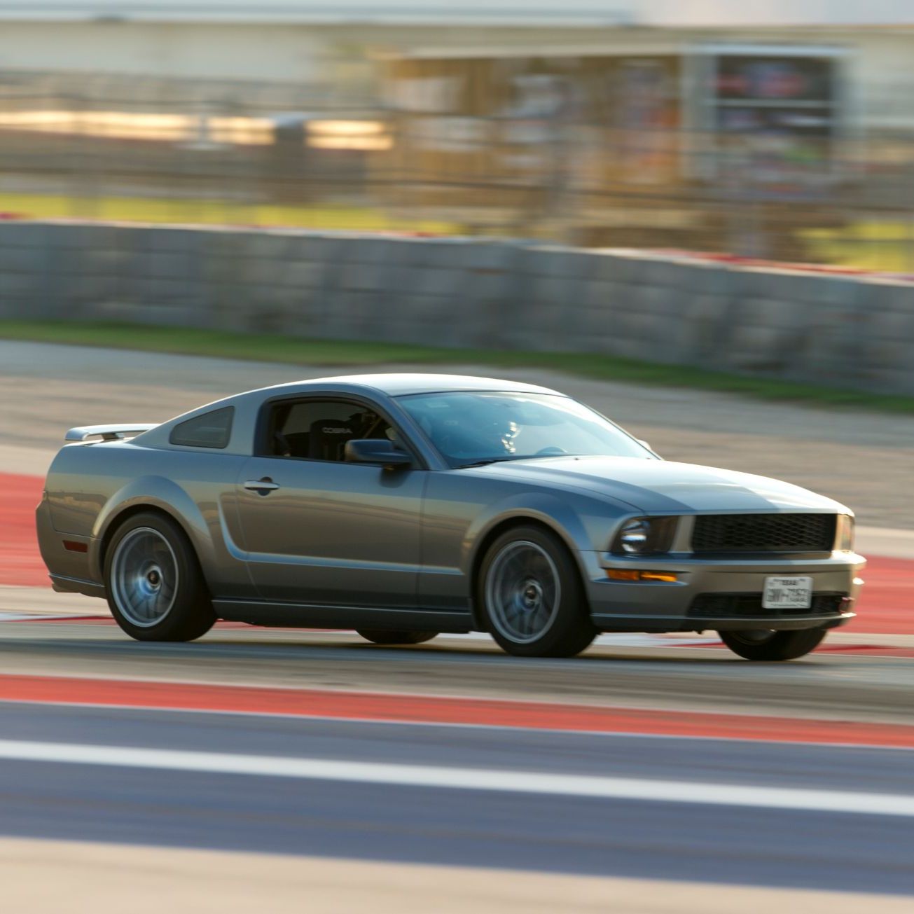 Profile of Maurice Contoleon