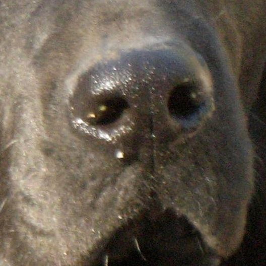 Profile of Hudson Irwin