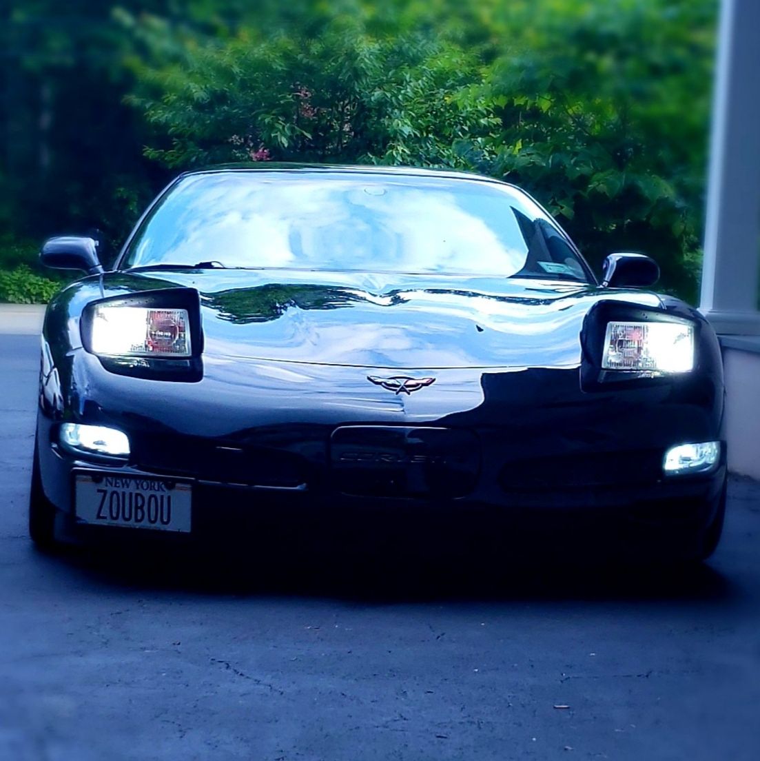 Profile of Nick Zoumpoulakis