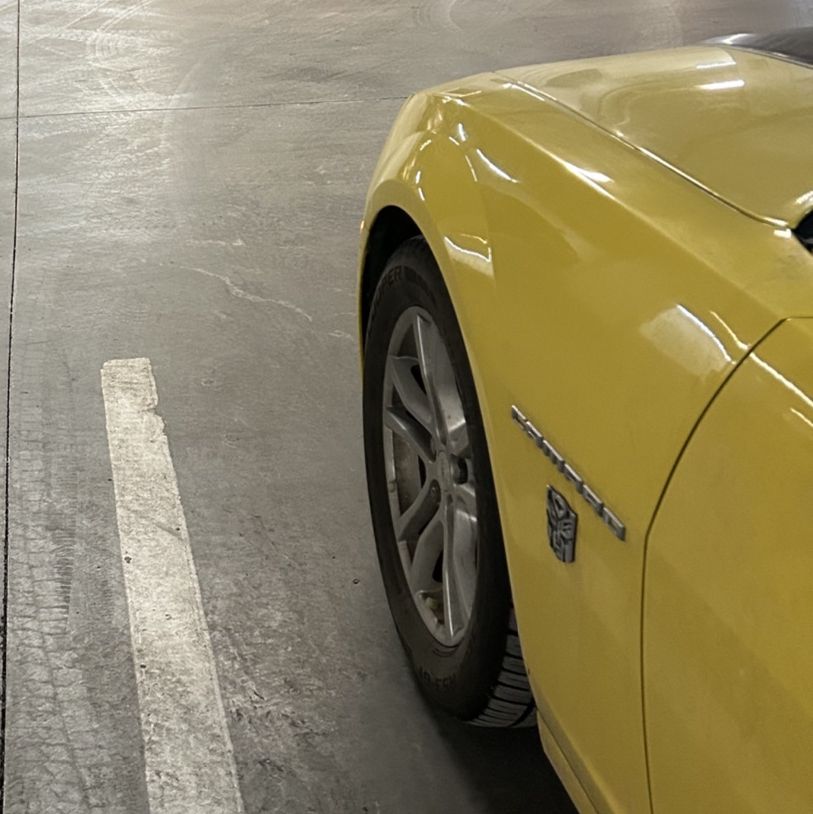 Profile of David Isak