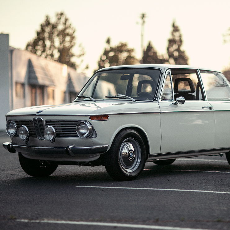 Profile of Shawn Nekouei