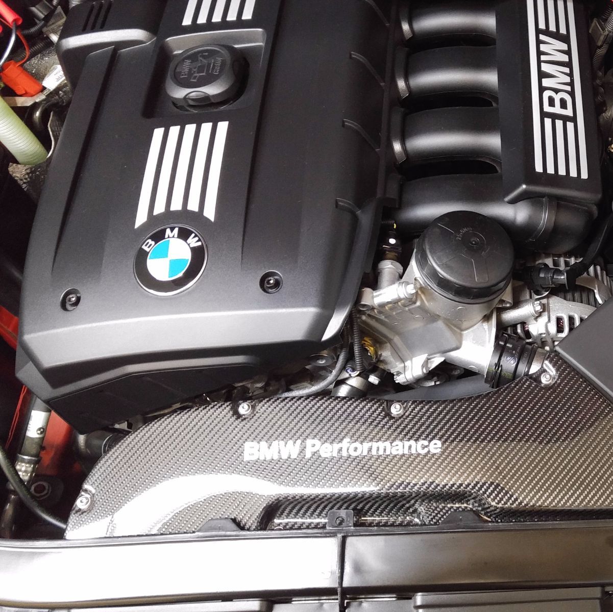 Profile of William McGill