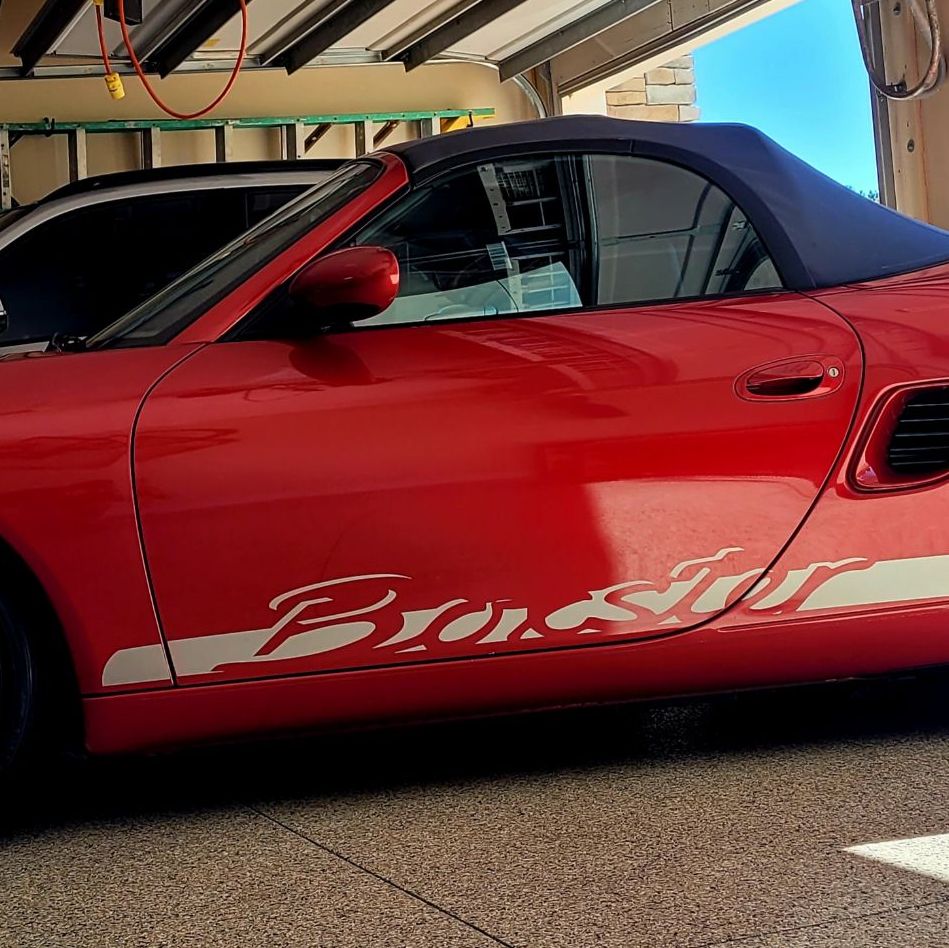 Profile of Steven Liberatore