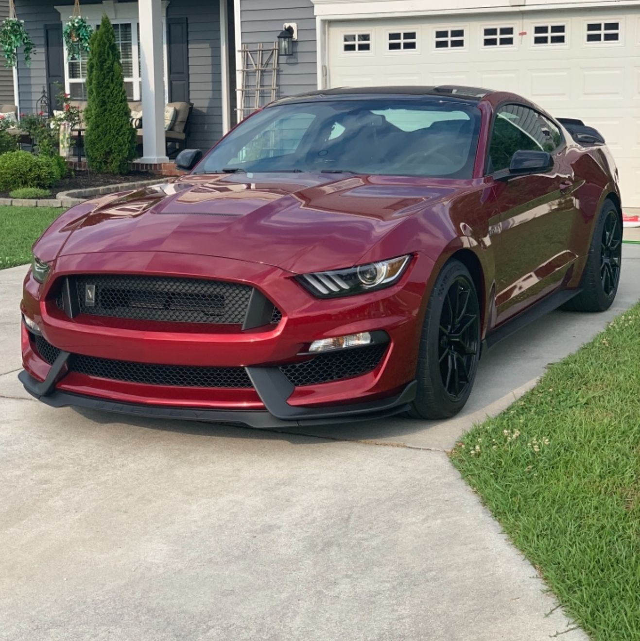 Profile of Jason Courounis