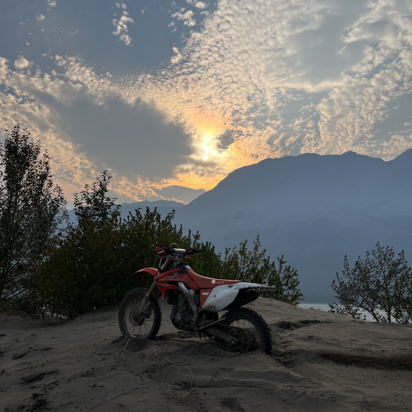 Profile of Regan Hurley