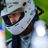 Profile of Wade Saadi Jr