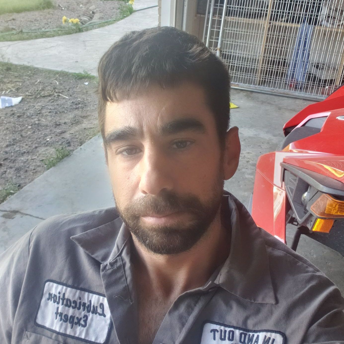 Profile of Daniel Roffe