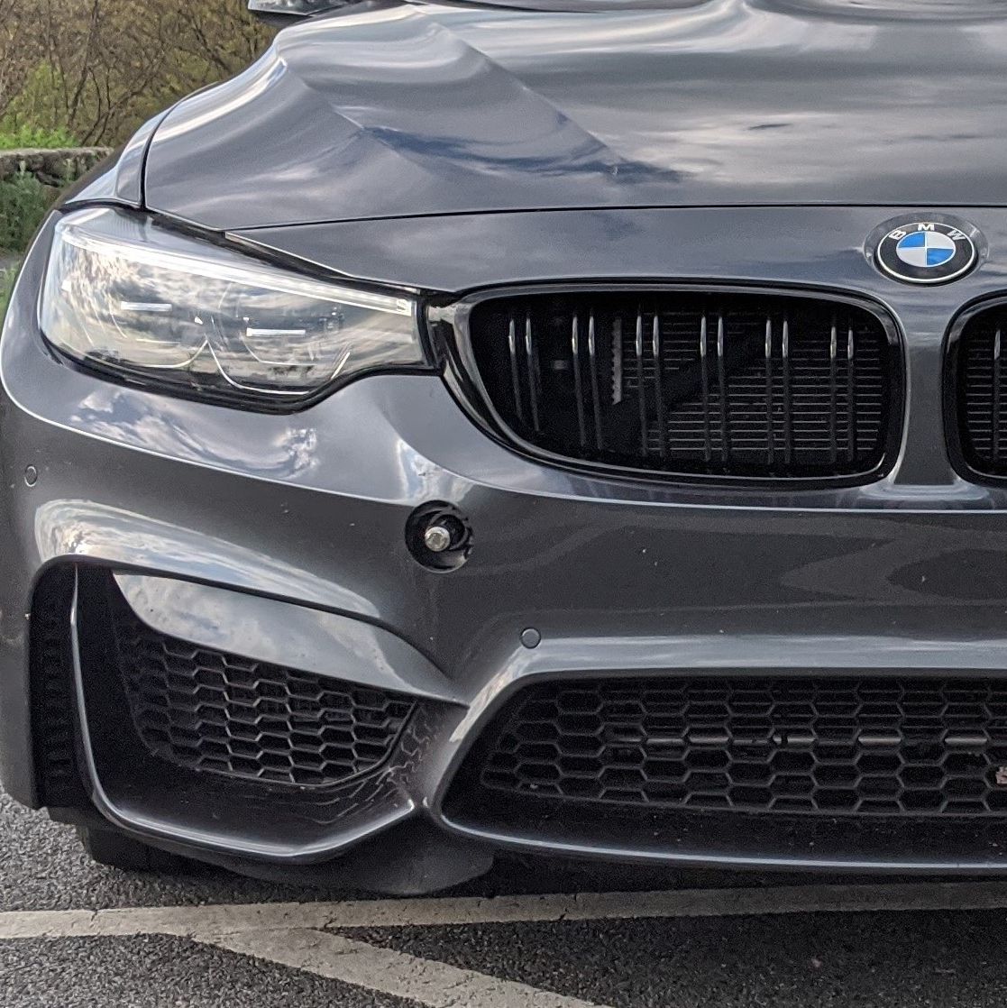 Profile of Michael Mitchell